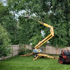 Best Lawn Maintenance Plans  in Humansville, MO